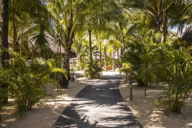 Tailor Made Holidays & Bespoke Packages for Canonnier Beachcomber Resort & Spa