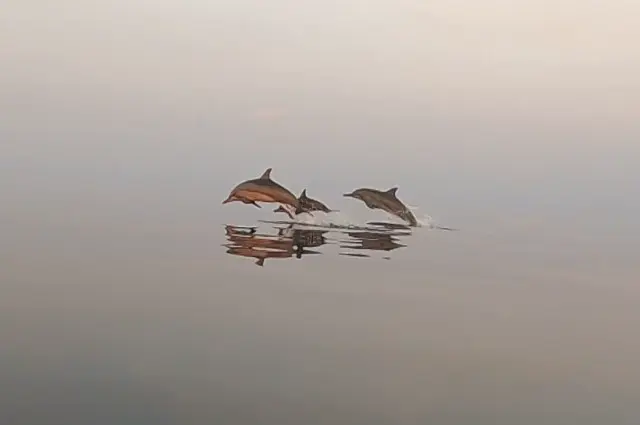 Maldives