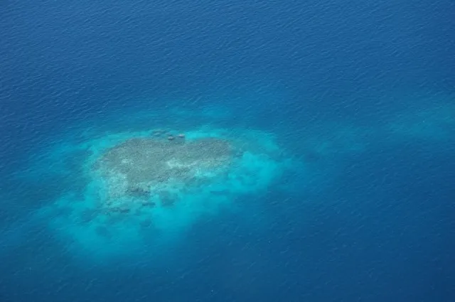 Shallow Reef