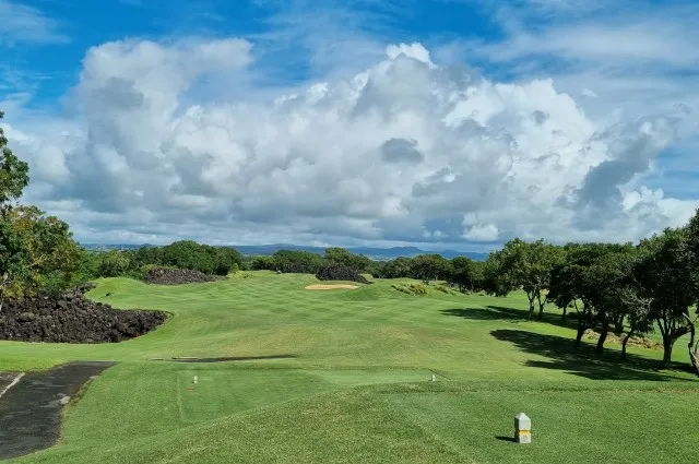 Links 1st