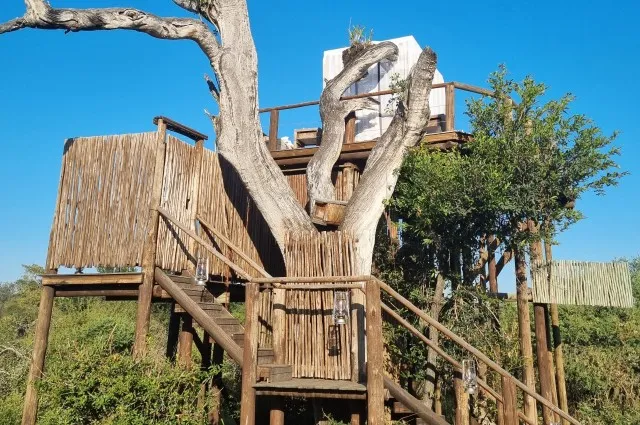 Bush Tree House at Lion Sands