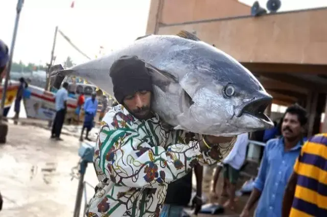 Sri Lanka