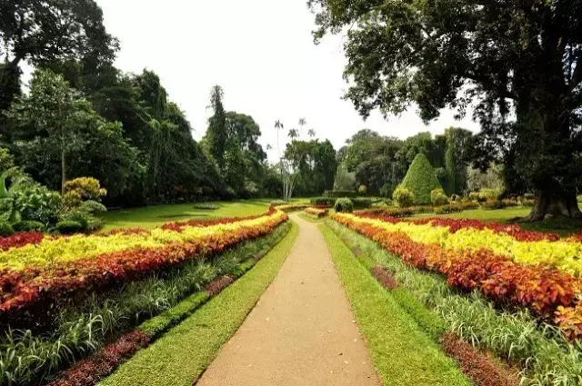 Peradeniya Gardens