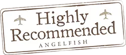 angelfish travel highly recommended