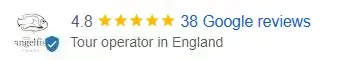Google reviews summary