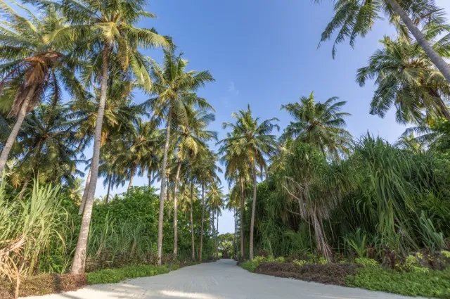 Tailor Made Holidays & Bespoke Packages for Jawakara Islands