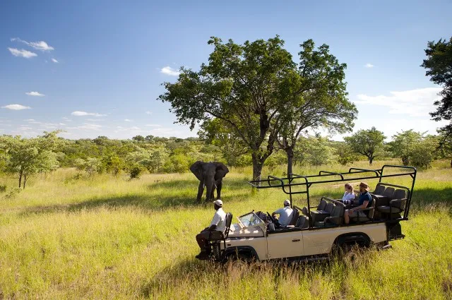 Tailor Made Holidays & Bespoke Packages for Ulusaba Safari Lodge