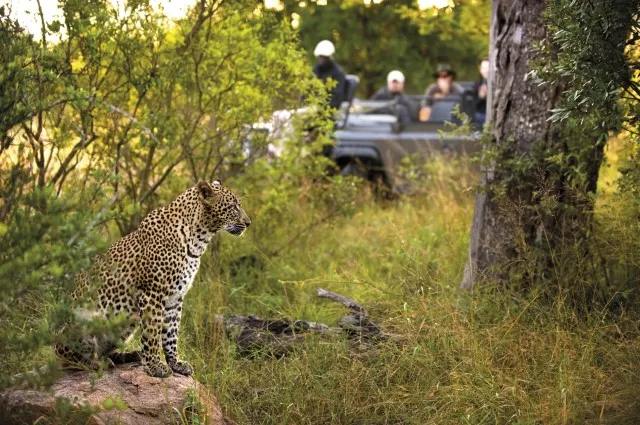 Tailor Made Holidays & Bespoke Packages for Lion Sands River Lodge
