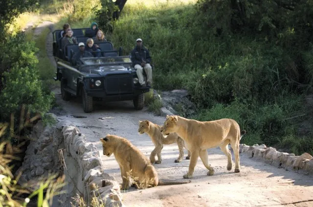 Tailor Made Holidays & Bespoke Packages for Lion Sands Tinga Lodge