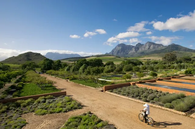 Tailor Made Holidays & Bespoke Packages for Babylonstoren