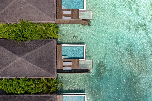 Tailor Made Holidays & Bespoke Packages for dusitD2 Feydhoo