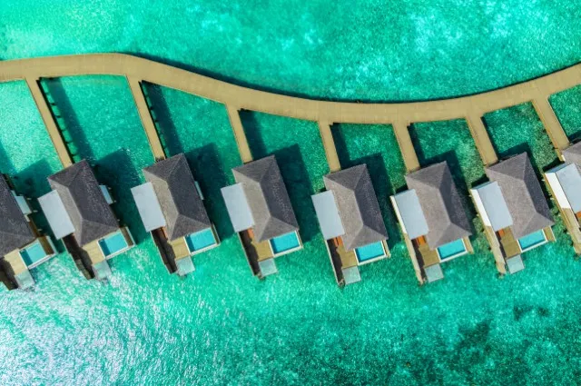 Tailor Made Holidays & Bespoke Packages for dusitD2 Feydhoo