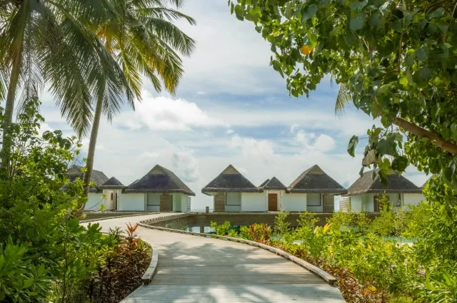 Tailor Made Holidays & Bespoke Packages for dusitD2 Feydhoo