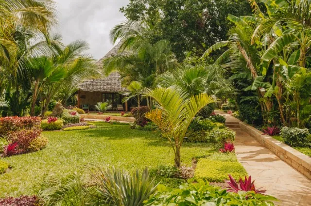 Tailor Made Holidays & Bespoke Packages for Tulia Zanzibar Unique Beach Resort