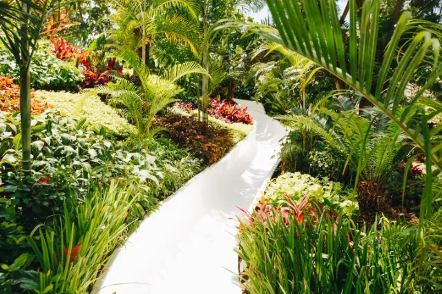 Tailor Made Holidays & Bespoke Packages for Tulia Zanzibar Unique Beach Resort