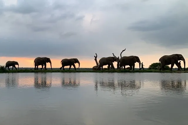 Tailor Made Holidays & Bespoke Packages for Jabulani Safari