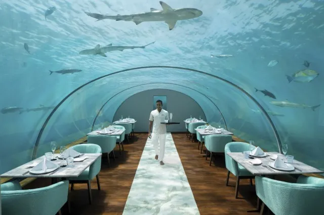 Tailor Made Holidays & Bespoke Packages for Conrad Maldives Rangali Island