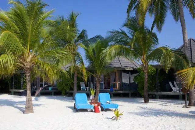 Tailor Made Holidays & Bespoke Packages for Kuredu Island Resort & Spa