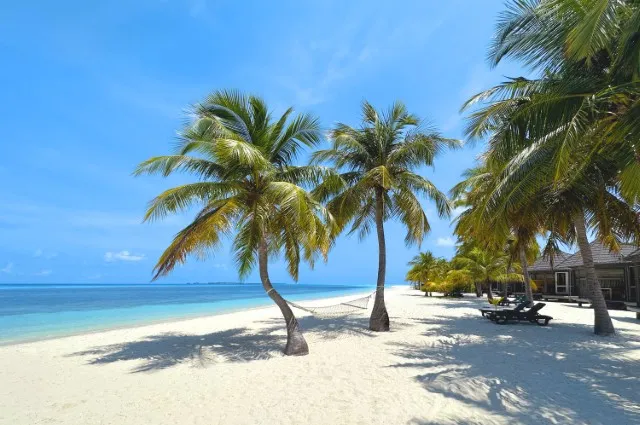 Tailor Made Holidays & Bespoke Packages for Kuredu Island Resort & Spa