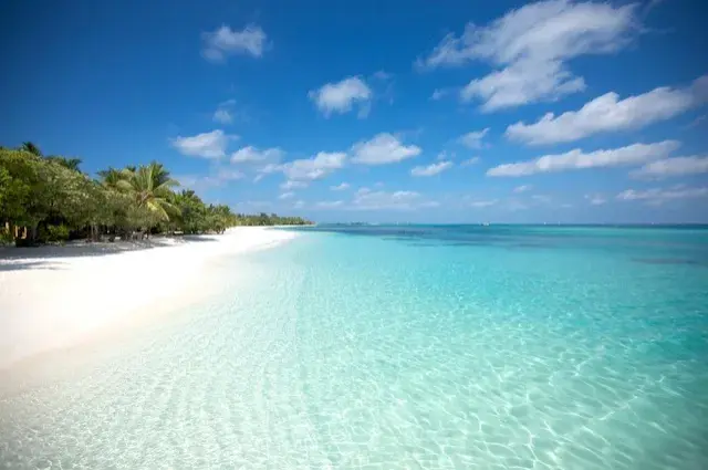 Tailor Made Holidays & Bespoke Packages for LUX* South Ari Atoll