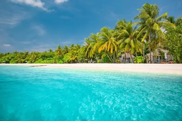 Tailor Made Holidays & Bespoke Packages for LUX* South Ari Atoll