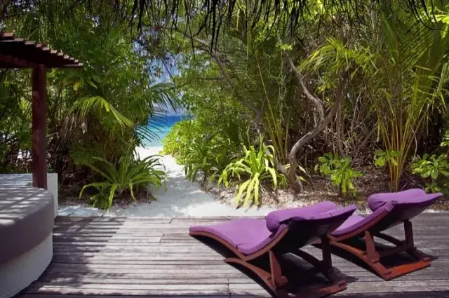 Tailor Made Holidays & Bespoke Packages for Coco Bodu Hithi