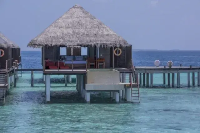 Tailor Made Holidays & Bespoke Packages for Coco Bodu Hithi