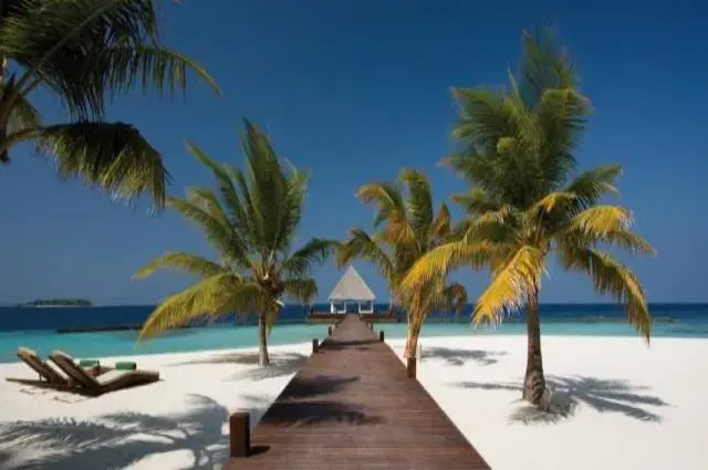 Tailor Made Holidays & Bespoke Packages for Coco Bodu Hithi