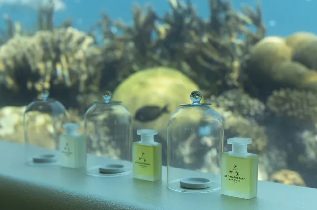 Tailor Made Holidays & Bespoke Packages for Huvafen Fushi