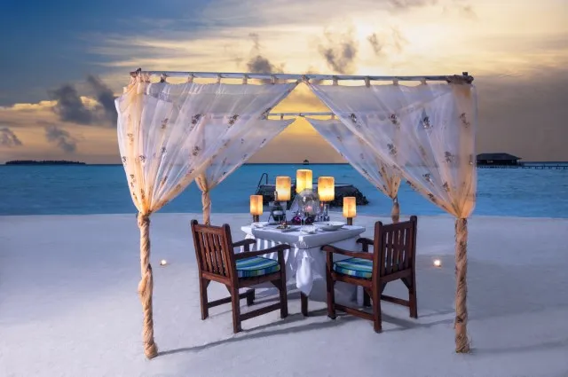 Tailor Made Holidays & Bespoke Packages for Taj Exotica