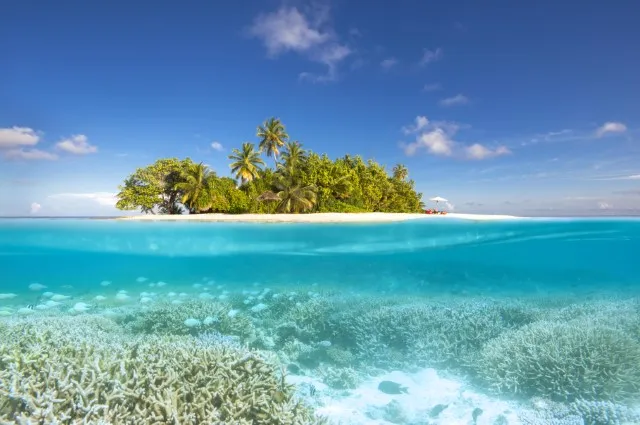 Tailor Made Holidays & Bespoke Packages for W Maldives