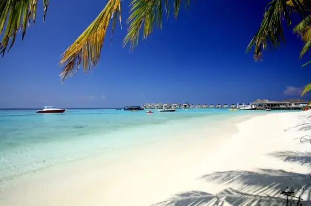Tailor Made Holidays & Bespoke Packages for Machchafushi Island Resort & Spa, The Centara Collection