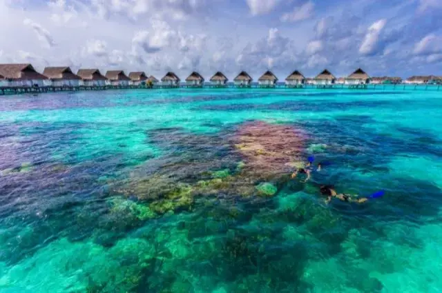 Tailor Made Holidays & Bespoke Packages for Machchafushi Island Resort & Spa, The Centara Collection