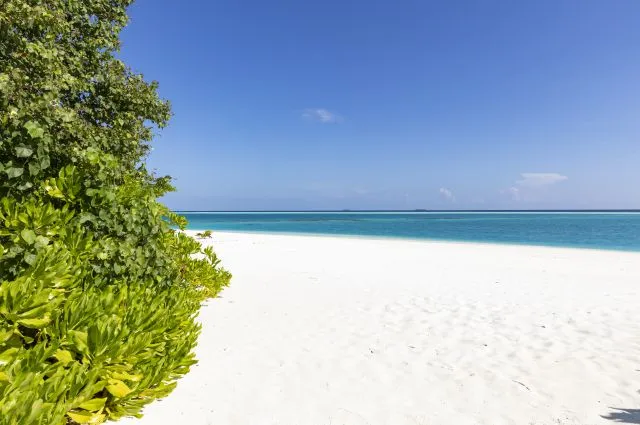 Tailor Made Holidays & Bespoke Packages for Niyama Private Islands