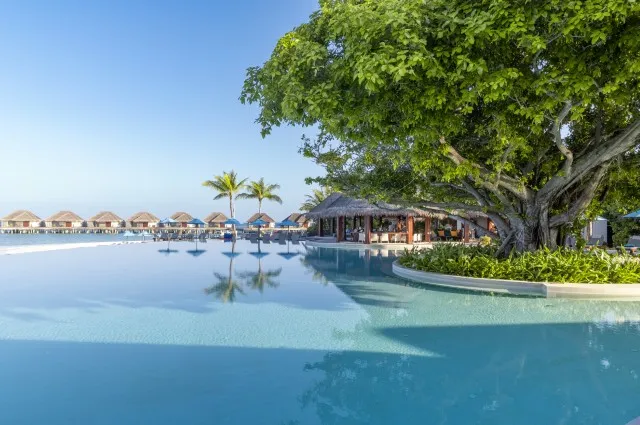 Tailor Made Holidays & Bespoke Packages for Dusit Thani Maldives