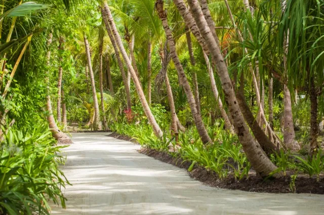 Tailor Made Holidays & Bespoke Packages for Dusit Thani Maldives