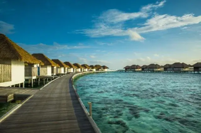 Tailor Made Holidays & Bespoke Packages for COMO Maalifushi