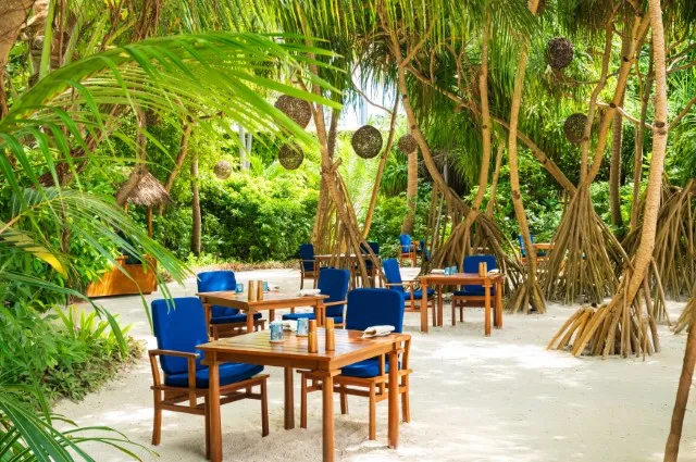Tailor Made Holidays & Bespoke Packages for Milaidhoo Island