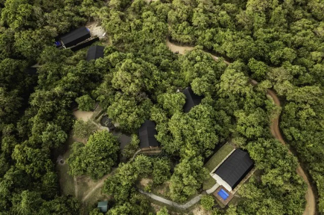 Tailor Made Holidays & Bespoke Packages for Leopard Trails Wilpattu National Park