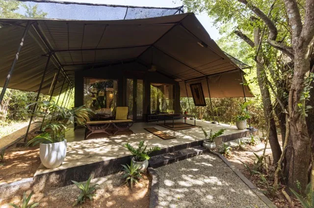 Tailor Made Holidays & Bespoke Packages for Leopard Trails Wilpattu National Park