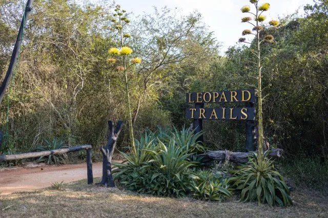 Tailor Made Holidays & Bespoke Packages for Leopard Trails Wilpattu National Park
