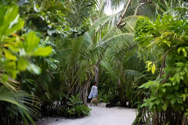 Tailor Made Holidays & Bespoke Packages for Baglioni Resort Maldives