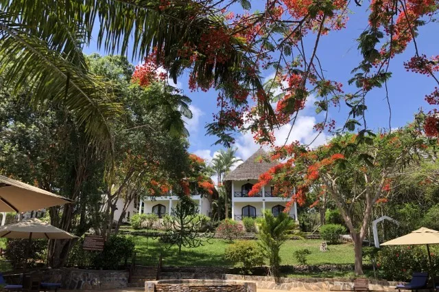 Tailor Made Holidays & Bespoke Packages for Bluebay Beach Resort