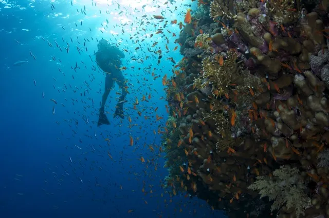 Tailor Made Holidays & Bespoke Packages for Vakkaru Maldives