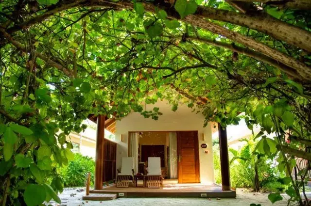 Tailor Made Holidays & Bespoke Packages for Reethi Faru Resort