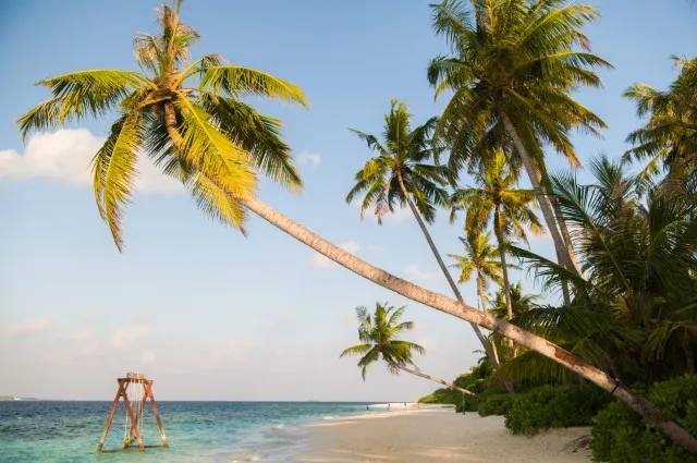 Tailor Made Holidays & Bespoke Packages for Reethi Faru Resort