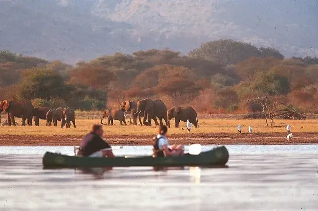 Tailor Made Holidays & Bespoke Packages for Lake Manyara Serena Safari Lodge