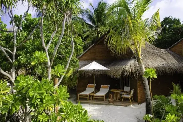 Tailor Made Holidays & Bespoke Packages for Mirihi Island Resort