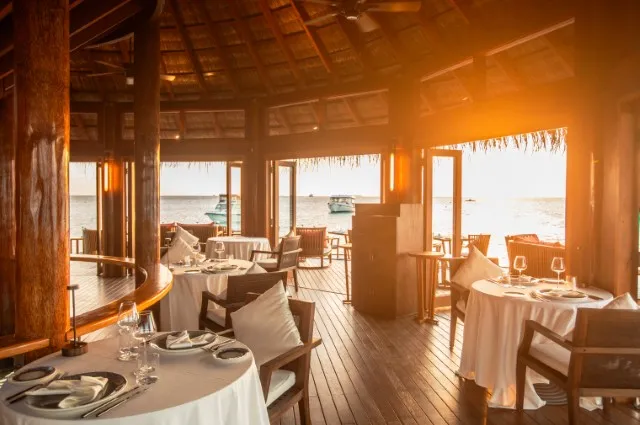 Tailor Made Holidays & Bespoke Packages for V Villas Maldives at Mirihi - MGallery Collection