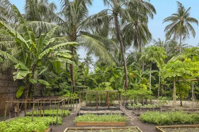 Tailor Made Holidays & Bespoke Packages for The Halcyon Private Isles Maldives, Autograph Collection